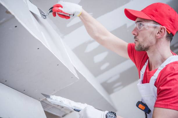 Best Attic Mold Removal  in Pennside, PA